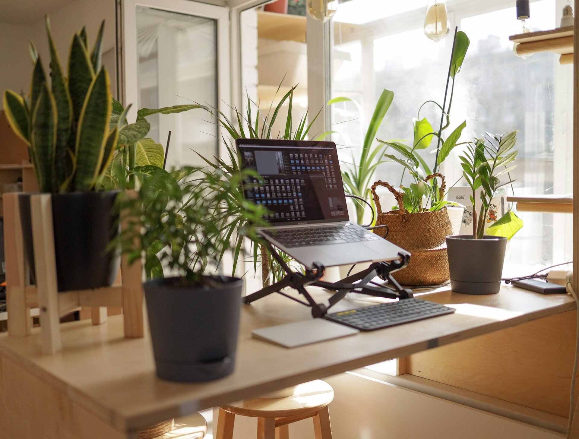 Remote working